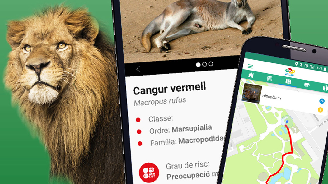 An App that helps you explore the Zoo Zoo Barcelona